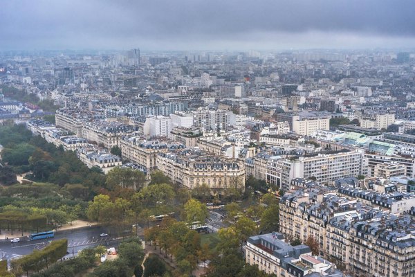 Où trouver les meilleures expériences de plongée avec les requins en Afrique du Sud?